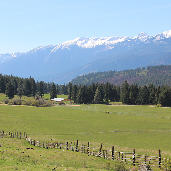 Revolution ranch